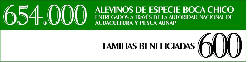 info econ soste 4