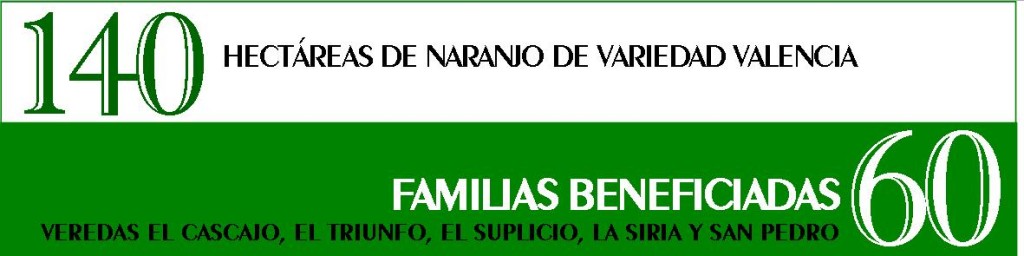 info econ soste 7