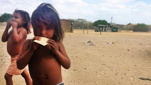 niñas guajira