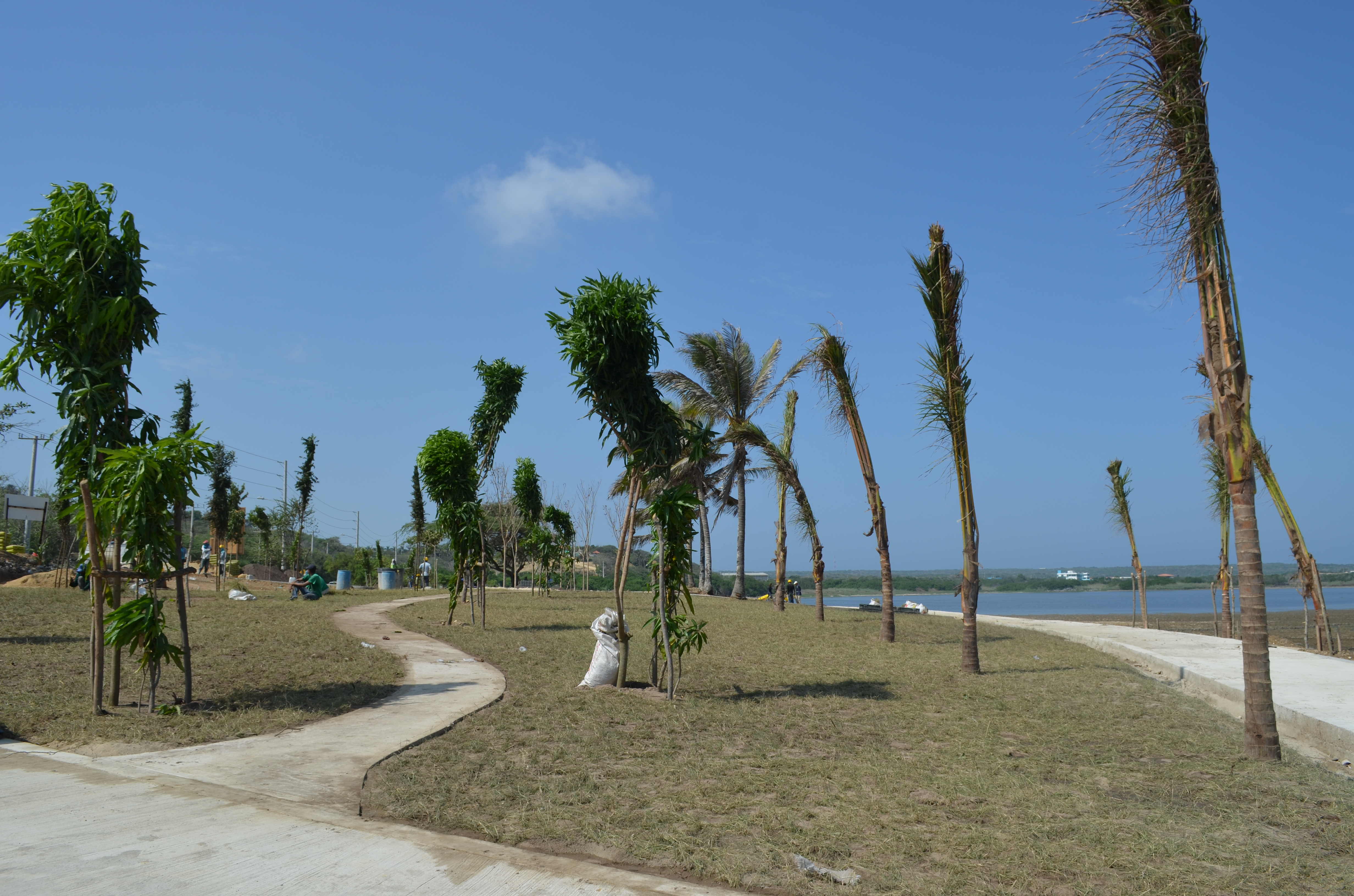 MINAMBIENTE Y CRA PRESENTAN AVANCES DE LA RECUPERACIÓN DEL LAGO EL CISNE