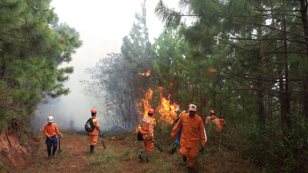 Bomberos de Colombia atienden cinco incendios forestales activos en tres departamentos del país
