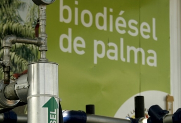Fedepalma considera positivo reciente incremento de mezcla de biodiésel de palma a 10 % pero advierte sobre cumplimiento parcial de compromisos del Gobierno