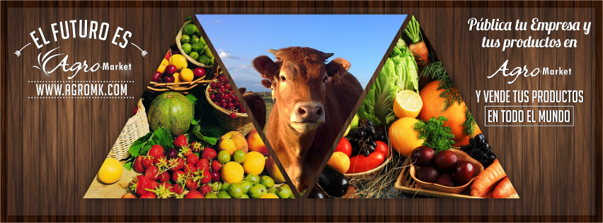Agromarket la aplicación para venta de productos, maquinaria e insumos del sector agropecuario