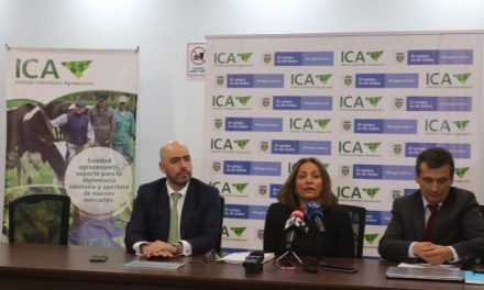 ICA amplía y refuerza las medidas, para atender la presencia de  peligroso hongo en cultivos de banano en La Guajira