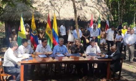 Comunidad internacional ha valorado muchísimo la firma del Pacto por la Amazonía, por parte de siete países