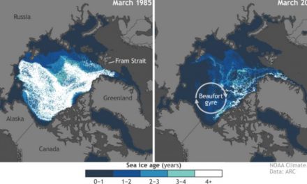 La Antártida registra la mayor cantidad de hielo derretido en un solo día