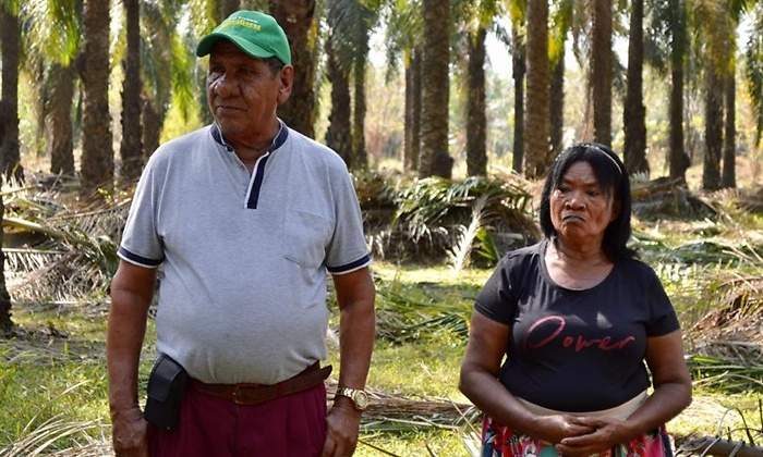 Alianzas productivas en María La Baja, apuesta a la esperanza del país palmero