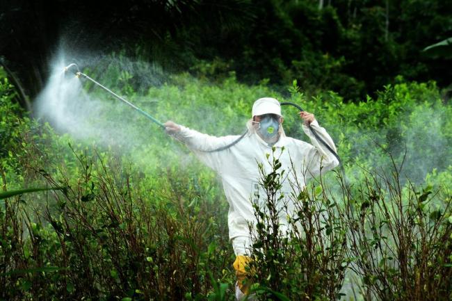 Estados Unidos condiciona la entrega de ayudas a Colombia. No aspersión aérea,tampoco chuzadas ilegales