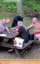 «Amistoso»Oso negro se une al picnic de una familia y lo invitan a un sanduche