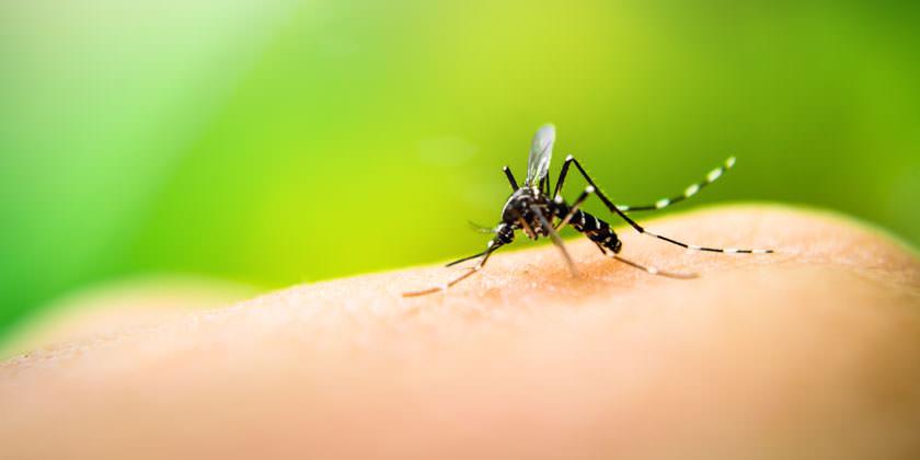 coronavirus y dengue al mismo tiempo PADECIERON MAS DE 150 PERSONAS en el país