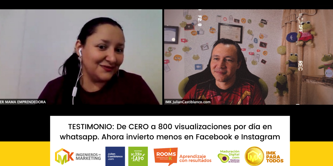 TESTIMONIO: De CERO a 800 visualizaciones por día en whatsapp. Ahora invierto menos en Facebook e Instagram