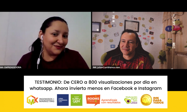 TESTIMONIO: De CERO a 800 visualizaciones por día en whatsapp. Ahora invierto menos en Facebook e Instagram