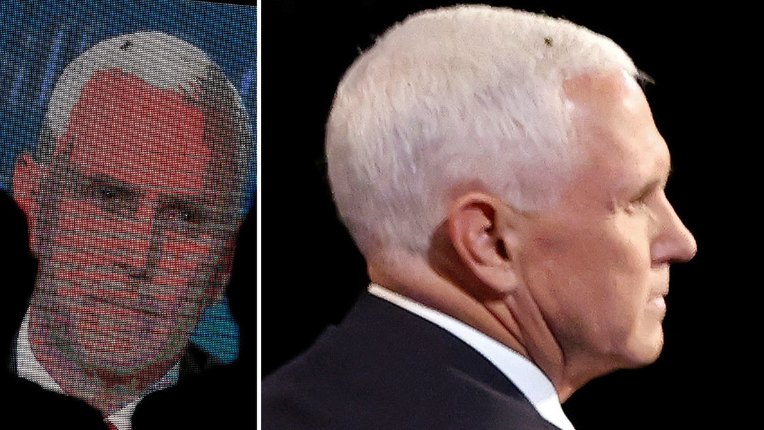 Una mosca en la cabeza de Pence se roba el ‘show’ durante el debate con Harris y los internautas la proclaman la ganadora del evento