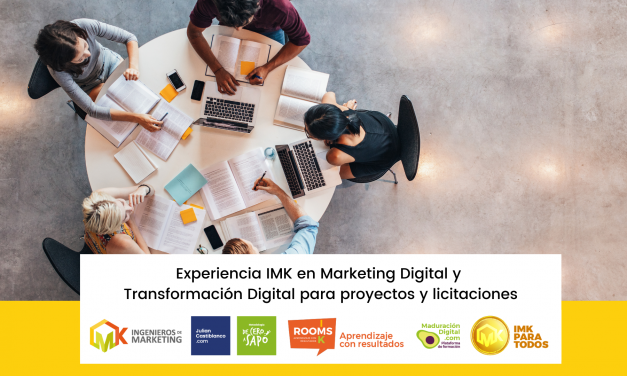 Experiencia IMK en Marketing Digital y Transformación Digital para proyectos y licitaciones
