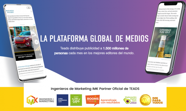 Ingenieros de Marketing IMK Partner Oficial de TEADS