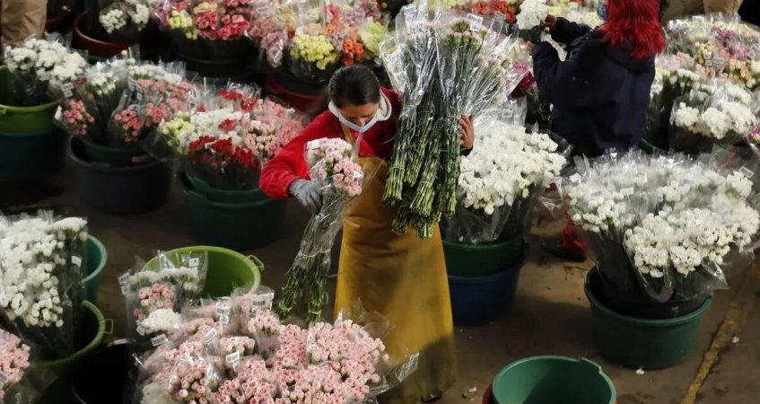 Un día de una trabajadora de un cultivo de flores
