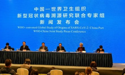 La misión de OMS en China no halla por ahora datos contundentes sobre el origen del covid-19