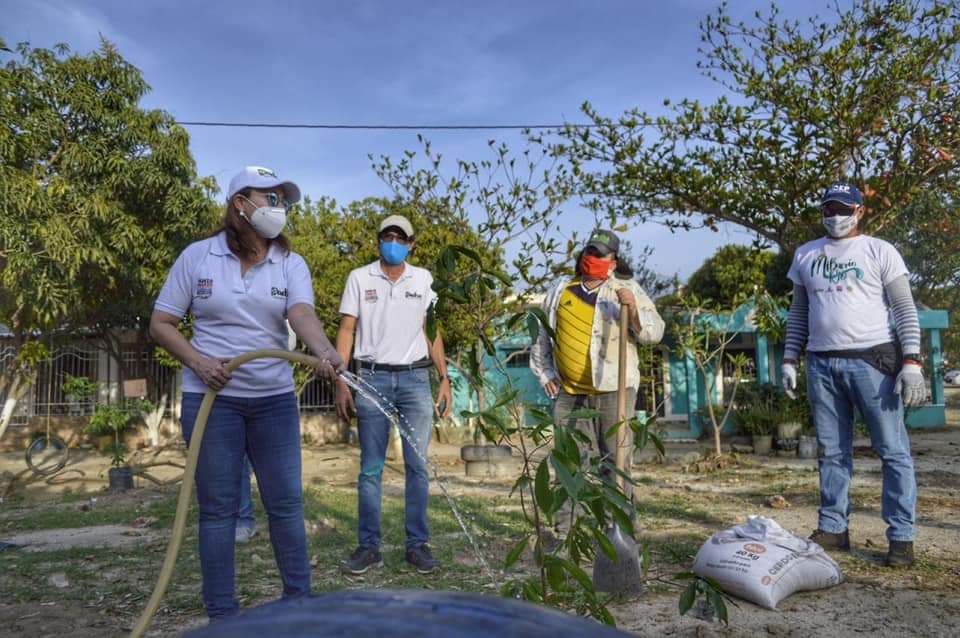 AVANZA CON ÉXITO EN SANTA MARTA LA CREACIÓN DE BOSQUES URBANOS PARA ALIVIAR LAS ALTAS TEMPERATURAS EN LA CIUDAD