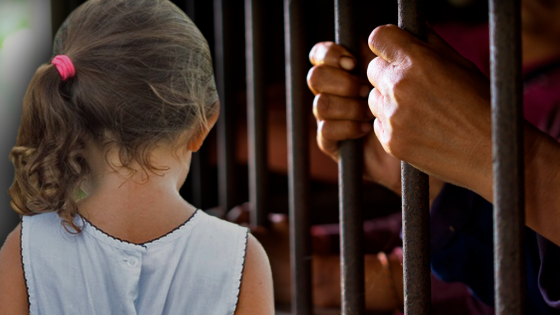 sancion de la ley de cadena perpetua para violadores y asesinos de niños  en vivo