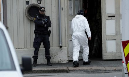 Servicios de seguridad de Noruega califican el ataque con arco y flechas como un posible «acto terrorista»