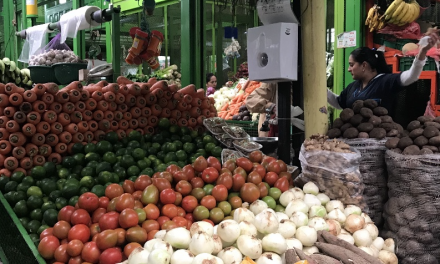 ¿Colombia está a tiempo de replantear su política de seguridad alimentaria y promover la soberanía alimentaria?