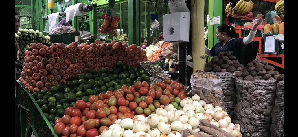 ¿Colombia está a tiempo de replantear su política de seguridad alimentaria y promover la soberanía alimentaria?