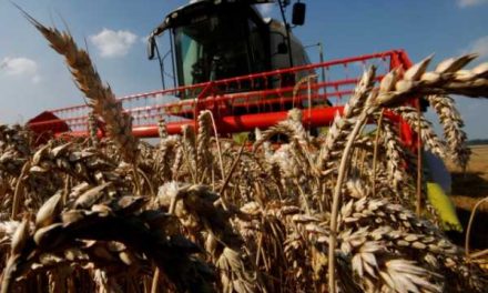 Naciones sudamericanas presionan para excluir fertilizantes de sanciones de Rusia