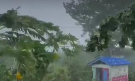 Declararán calamidad pública en San Andrés para atender a damnificados por el Huracán Julia