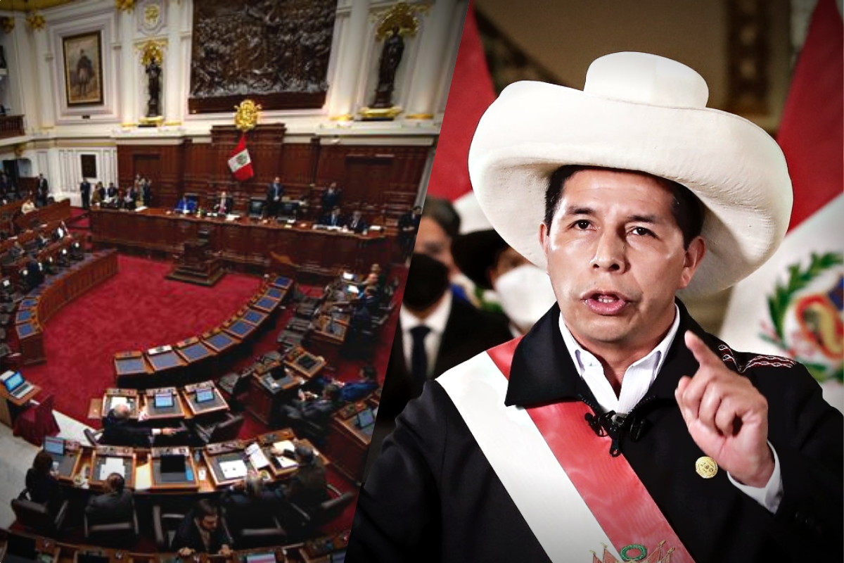 El Congreso de Perú destituye a Pedro Castillo y Dina Boluarte asume la  Presidencia - Politika.com.co