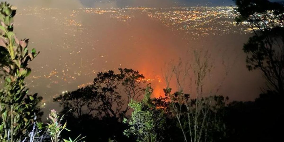Gobierno declara estado de desastre natural para abordar emergencias por incendios forestales