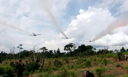 “Dada la táctica mafiosa de oponer personal civil al ejército, la Corte Constitucional debe reconsiderar su sentencia. Allí donde la ciudadanía ataque al ejército habrá fumigación aérea” AFIRMA EL PRESIDENTE PETRO.