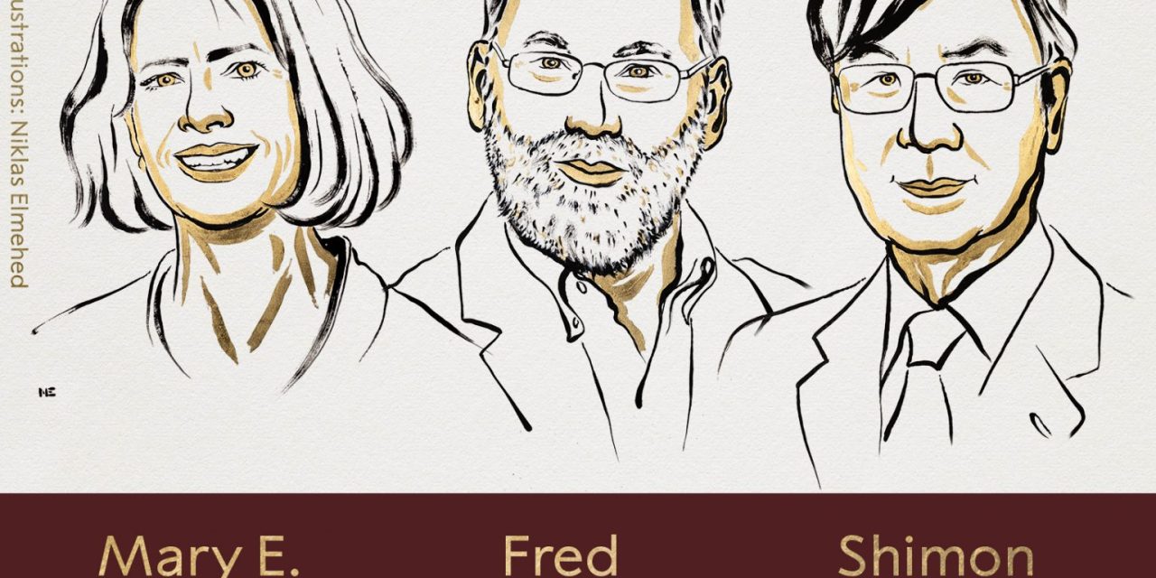 Mary Brunkow, Fred Ramsdell y Shimon Sakaguchi recibieron el Premio Nobel de Medicina