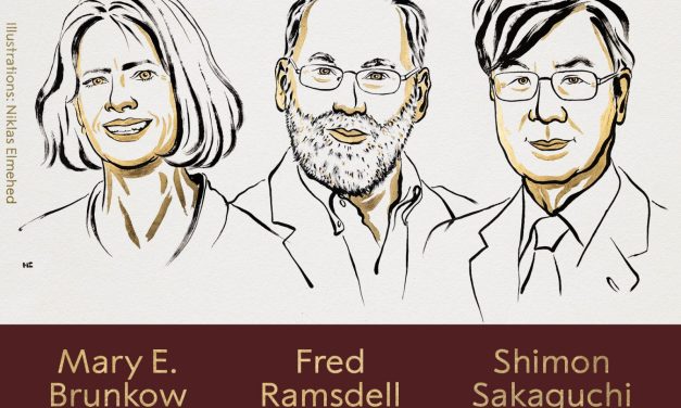 Mary Brunkow, Fred Ramsdell y Shimon Sakaguchi recibieron el Premio Nobel de Medicina