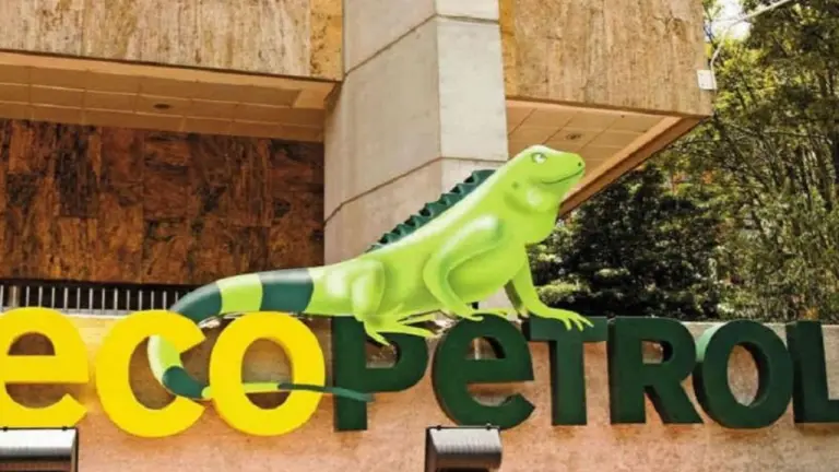 “Medida de Dian es un atentado contra los colombianos”: dicen pequeños accionistas de Ecopetrol