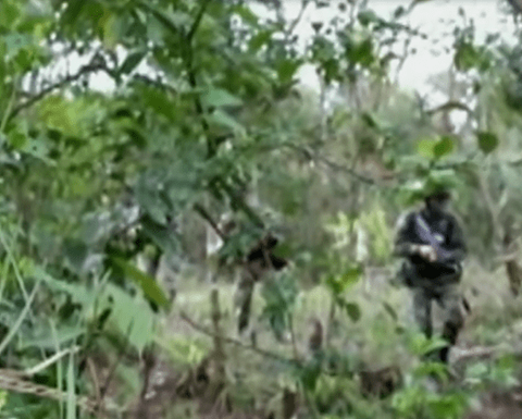  Bombardeo en Arauca contra las disidencias de ‘Iván Mordisco’; verifican si cayó alias Antonio Medina, comandante del frente 28