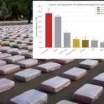 La cocaína ya le deja más plata a Colombia que el petróleo: representa el 4,4% del PIB nacional